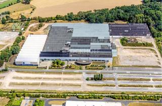 Gewerbeimmobilie mieten in 47495 Rheinberg, Alleinauftrag | Rheinberg | großzügige Lagerhalle auf knapp 10.000 m²
