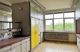 Gewerbeimmobilie mieten in Giulinistr., 67065 Rheingönheim, RICH - Ausgestattete Laborflächen an bekanntem Industriestandort - provisionsfrei