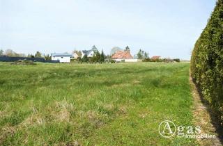 Grundstück zu kaufen in 17126 Jarmen, Traumhaftes ca. 2.650m² großes bauträgerfreies Grundstück in Ortsrandlage in Ostseenähe