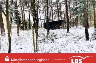 Grundstück zu kaufen in 14552 Michendorf, Besonderes Waldgrundstück!
