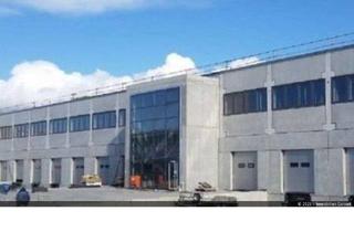 Büro zu mieten in 65462 Ginsheim-Gustavsburg, 1.054 m² moderne Hallen und Bürofläche in Ginsheim - Gusatavsburg zu vermieten