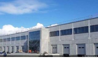 Büro zu mieten in 65462 Ginsheim-Gustavsburg, 1.054 m² moderne Hallen und Bürofläche in Ginsheim - Gusatavsburg zu vermieten