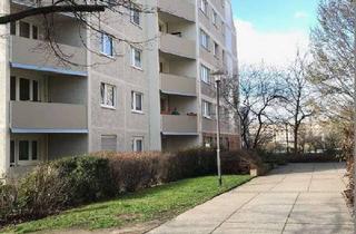 Wohnung mieten in Wittenberger Straße 19, 06132 Silberhöhe, Große 2 Raumwohnung sucht neuen Mieter für gemeinsame Jahre!