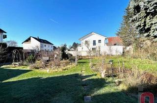 Grundstück zu kaufen in 68542 Heddesheim, Lage, Lage, Lage - Top Bauplatz mit Altbestand auf einem 1271m² großen sonnigen Grundstück