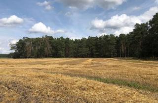 Gewerbeimmobilie kaufen in 04916 Schönewalde, Ackerfläche im LKR Elbe-Elster 6,8 ha