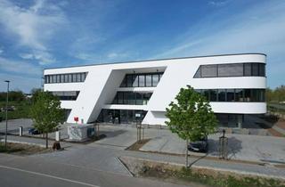 Büro zu mieten in Breisgauring 13, 79427 Eschbach, Neue lichtdurchflutete und moderne Büroräume