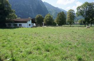 Grundstück zu kaufen in 82487 Oberammergau, Klasse Bergblick inklusive!! Extra großes Baugrundstück mit viel Platz interessanter Lage