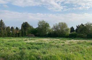 Grundstück zu kaufen in 04565 Regis-Breitingen, Sonniges Grundstück in einem schönen Wohngebiet in Regis-Breitingen auch Doppelhaus möglich