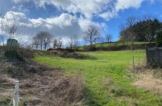 Grundstück zu kaufen in 69488 Birkenau, Sonniges Baugrundstück in schöner Lage - Löhrbach Gemeinde Birkenau