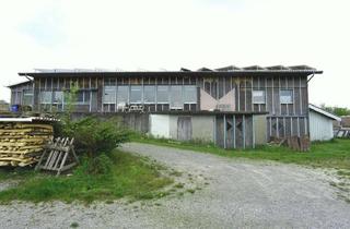 Gewerbeimmobilie kaufen in 74906 Bad Rappenau, Produktionshalle mit Büro und Sozialräumen im Gewerbegebiet von Obergimpern