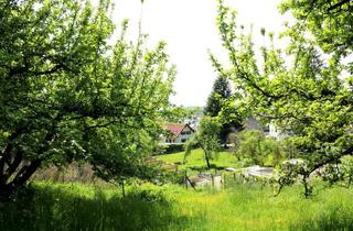 Einfamilienhaus kaufen in 89281 Altenstadt, Grundstück mit Altbestand in Hang/Waldrandlage für Naturliebhaber in Altenstadt/Iller