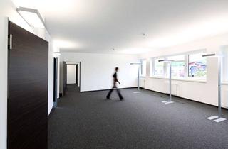 Büro zu mieten in Bäckerstraße, 21244 Buchholz in der Nordheide, helles Einzelbüro im ISI-Businesszentrum für Start-ups und junge Unternehmen