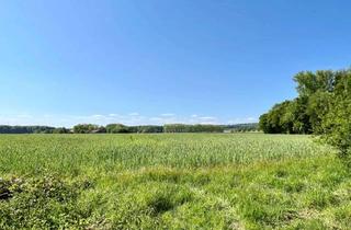 Haus kaufen in Schloßstraße 92, 33824 Werther, Rohdiamant in landschaftlich reizvoller Lage von Werther