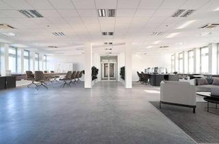 Büro zu mieten in 42579 Heiligenhaus, Provisionsfreie, frisch renovierte Bürofläche - Jetzt mit bis zu 4 Monaten mietfrei!