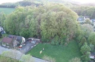 Gewerbeimmobilie kaufen in Helle 33a, 58802 Balve, Grundstücke / Grünflächen / Wiesen mit Gebäude, ggfs. Entwicklungspotential, in Balve zu verkaufen