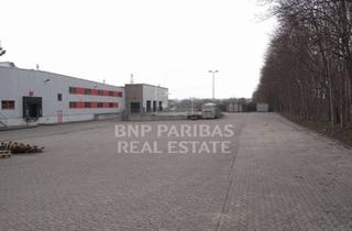 Gewerbeimmobilie mieten in 50354 Hürth, Stützenfreie Lager-/Produktionshalle mit Außenfläche in Hürth