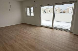 Penthouse kaufen in 74564 Crailsheim, NUR NOCH 1 WOHNUNG FREI - Penthouse - QNG zertifiziert (KfW40) - Neubau/Erstbezug in Roßfeld