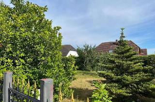 Grundstück zu kaufen in 04821 Brandis, Schönes Baugrundstück für Ihr Einfamilienhaus!