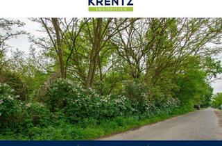Grundstück zu kaufen in 14550 Groß Kreutz, Viel Platz für Ihr Bauprojekt im Grünen