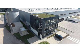 Gewerbeimmobilie mieten in 68642 Bürstadt, "BAUMÜLLER AG" - ca. 15.000 m² Hallenfläche - Rampe + ebenerdig!