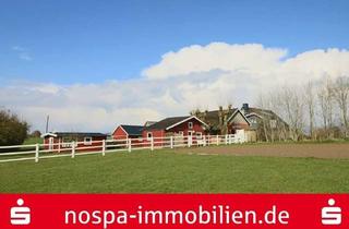 Immobilie kaufen in 24972 Quern, Resthof für Pferdehaltung in Alleinlage unweit der Ostsee!