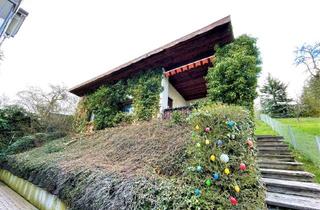 Grundstück zu kaufen in Am Petersberg 53a, 99817 Eisenach, Wunderschönes Gartengrundstück mit Gartenhaus zu verkaufen!