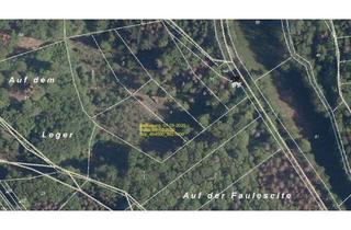 Immobilie kaufen in 35080 Bad Endbach, TOP Waldgrundstück / Forstwirtschaftliche-Fläche