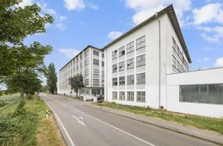 Gewerbeimmobilie mieten in Wörthstraße 40, 89129 Langenau, Gewerbepark für klein und groß