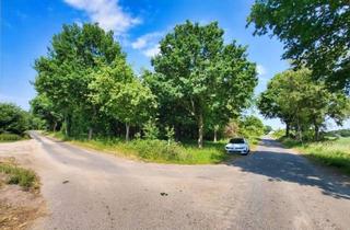 Gewerbeimmobilie kaufen in 27616 Beverstedt, Ihre ganz eigene CO²-Ausgleichsfläche in Wollingst