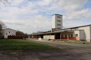 Gewerbeimmobilie kaufen in Dr. Leidenfrost-Straße, 99625 Kölleda, REDUZIERT - Vielfältig nutzbare Gewerbeimmobilie am Standort Kölleda