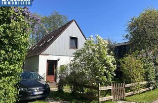 Haus kaufen in 25761 Westerdeichstrich, Westerdeichstrich: Idyllisch gelegenes Wohnhaus mit Festvermietung direkt am Wehl