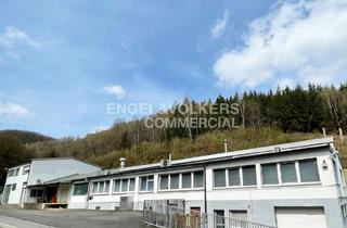 Gewerbeimmobilie kaufen in 58579 Schalksmühle, REDUZIERTER PREIS ! Produktion, Lager & Büro in Schalksmühle (Chemie und Galvanik möglich)