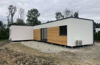 Haus kaufen in 74613 Öhringen, Doppel Bungalow T88 // Schlüsselfertig inkl. Fundament & Grundstück! Niedrigenergie Modulbauweise