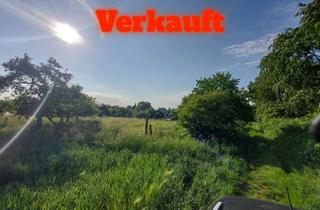 Grundstück zu kaufen in 63477 Maintal, Top Baugrundstück in Wachenbuchen Feldrandlage mit unverbaubaren wunderschönen Naturausblick