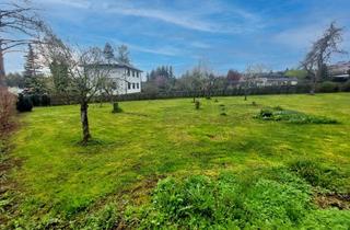 Grundstück zu kaufen in 09221 Neukirchen/Erzgebirge, Erschlossenes Grundstück mit positivem Bauvorbescheid in Neukirchen