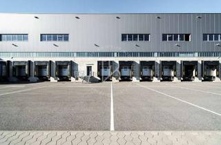 Gewerbeimmobilie mieten in 68642 Bürstadt, "BAUMÜLLER AG" - ca. 25.000 m² Hallenfläche - Rampe + ebenerdig!