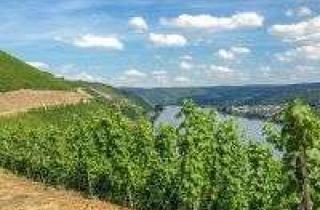 Immobilie kaufen in Plz Nur Großraumangabe, Diskretionshalber, 55411 Bingen, 57411 - Metzgerei, EU-Produktionsbetrieb, EU-Schlachtbetrieb, 3 Wohnungen, Garten und Büro.