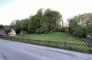 Gewerbeimmobilie kaufen in Helle 33a, 58802 Balve, Grundstücke / Grünflächen / Wiesen, ggfs. mit Entwicklungspotential, in Balve zu verkaufen