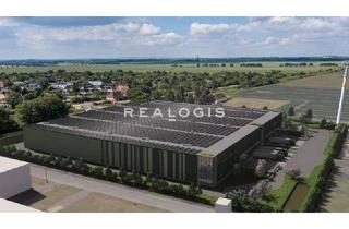 Gewerbeimmobilie mieten in 39171 Sülzetal, Magdeburg Süd | Neubauoption | ca. 14.900 m² Big-Box oder Gewerbepark ab ca. 1.500 m²