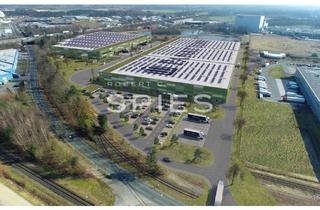 Gewerbeimmobilie mieten in 48432 Rheine, Rheine: Bis zu 50.000 m² Logistikfläche an der A30 - mit Video!