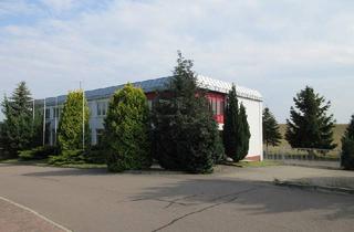 Gewerbeimmobilie kaufen in 04749 Ostrau, Wohn- und Geschäftshaus in Ostrau zu verkaufen