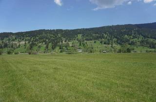 Gewerbeimmobilie kaufen in 82487 Oberammergau, Was für eine Chance! Idyllisch gelegenes landwirtschaftliches Grundstück in Oberammergau
