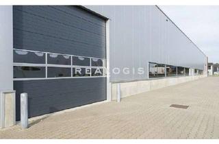 Büro zu mieten in 82054 Sauerlach, Sauerlach im Münchner Süden, 1.248 m² Halle +174 m² Büro zu vermieten