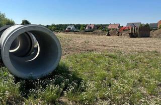 Grundstück zu kaufen in 48565 Steinfurt, Attraktive Grundstücke in top Lage von Steinfurt-Borghorst