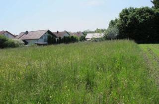 Grundstück zu kaufen in 84508 Burgkirchen, schönes großzügiges Baugrundstück in ruhiger Ortsrandlage