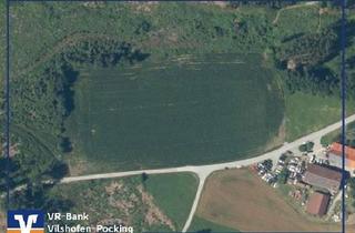 Grundstück zu kaufen in 94099 Ruhstorf, Chance nutzen! Landwirtschaftliches Grundstück nähe Schmidham / Thiersbach