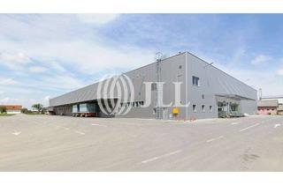 Gewerbeimmobilie mieten in 76744 Wörth, TOP LOGISTIKHALLE MIT BESTER MIT BESTER ANBINDUNG AN DIE AUTOBAHN *JLL*