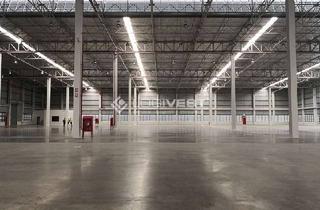 Gewerbeimmobilie mieten in 83236 Übersee, Projektierter Neubau einer Lager-und Logistikhalle