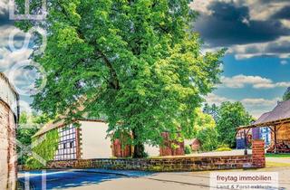 Haus kaufen in 37635 Lüerdissen, Weserbergland: Herrlicher Landsitz wie aus dem Bilderbuch