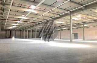 Büro zu mieten in 68649 Groß-Rohrheim, KEINE PROVISION ✓ NEUBAU ✓ AB 2025 ✓ WGK-3 ✓ 10.000 m² Lager-/Logistik + 500-1.000 m² Büro-/Sozial